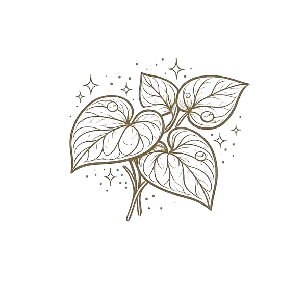 Houttuynia Cordata